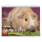 Adorable Guinea Pigs 2026