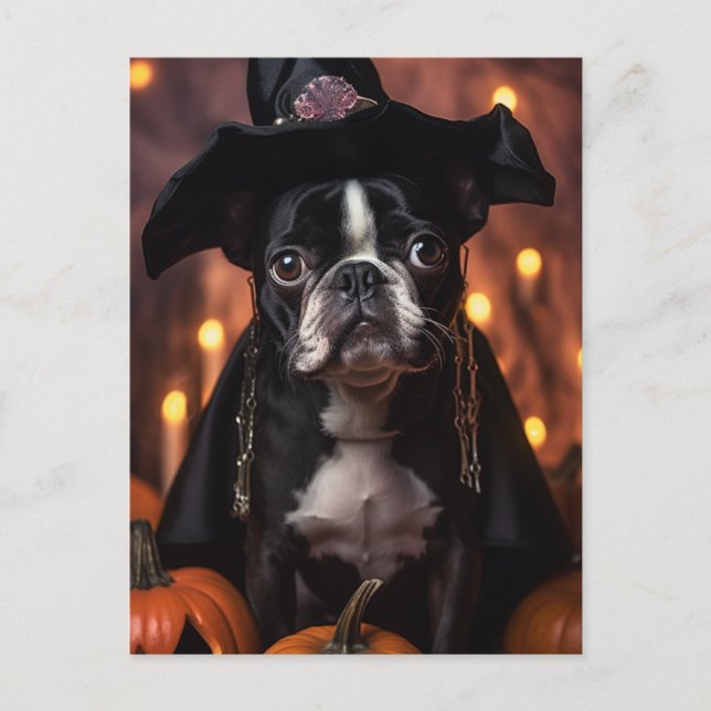 Adorable Halloween Boston Terrier Dog Postcard (Front)