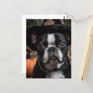 Adorable Halloween Boston Terrier Postcard