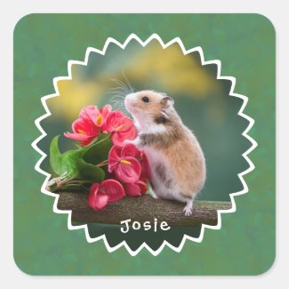 Adorable hamster with Red Arthurium Bouquet
