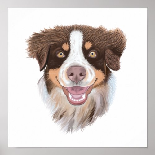 Adorable Hand Painted Australian Shepherd  White Poster