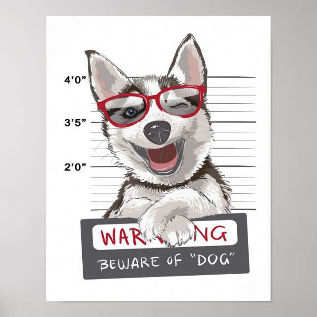 adorable Happy husky Poster (Front)