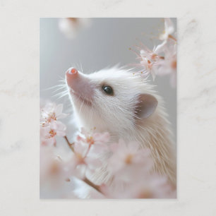 Adorable Hedgehog Among Spring Blossoms  Postcard
