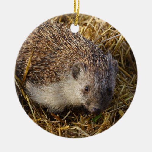 Adorable Hedgehog In Stubble Field Ceramic Ornament