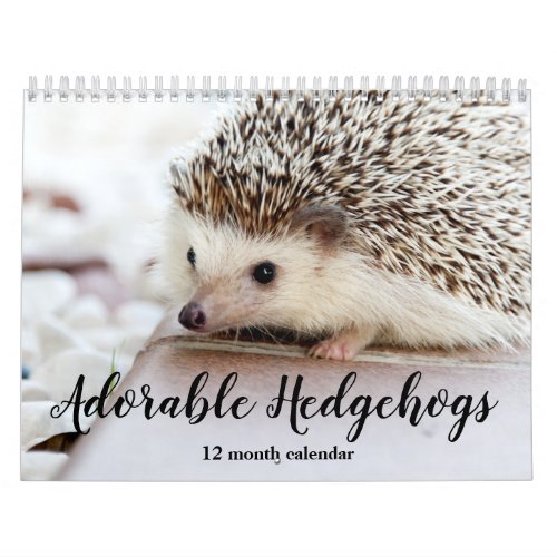 Adorable Hedgehogs 2024 Calendar