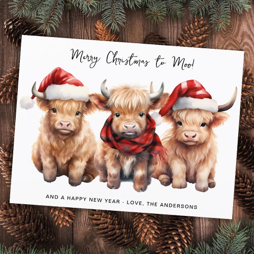 Adorable Highland Cow Calf Merry Christmas to MOO Holiday Postcard