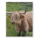 Adorable Highland Cow Temporary Tattoos
