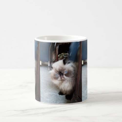Adorable Himalayan Persian Cat Coffee Mug
