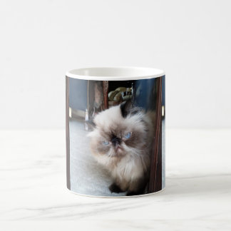 Adorable Himalayan Persian Cat Coffee Mug
