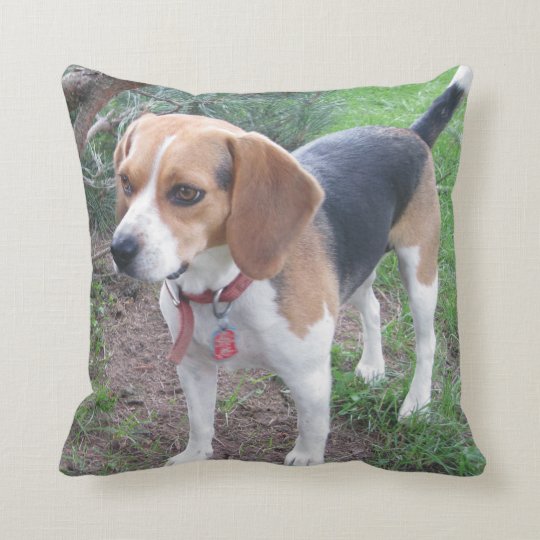 beagle holiday pillow