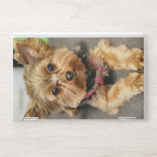 Adorable HP laptop skin
