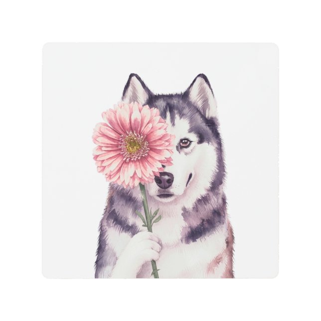 Adorable Husky Watercolor Illustration Metal Print (Front)