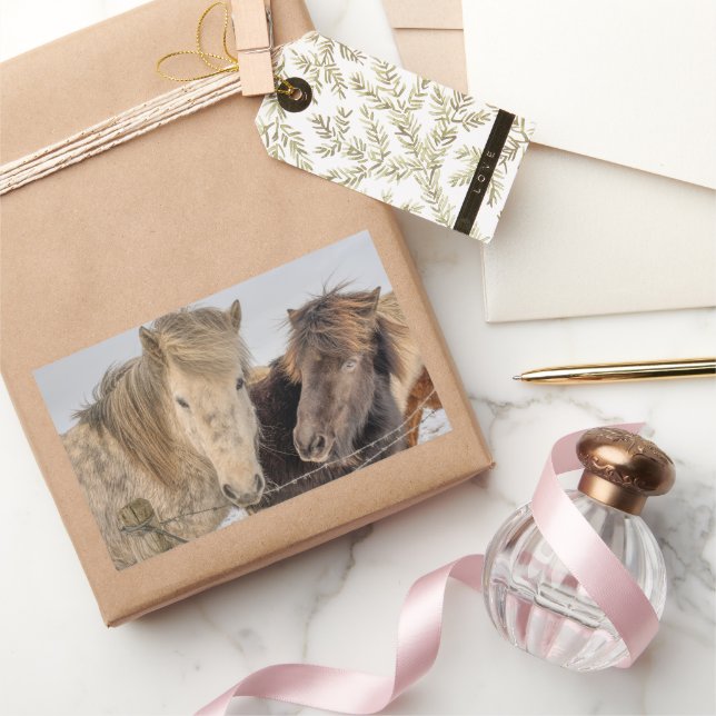 Adorable Icelandic Horse Rectangular Sticker (Gifting)