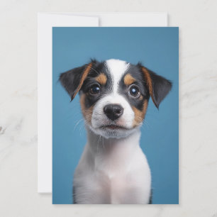 Adorable Jack Russell Terrier Puppy Portrait Invitation