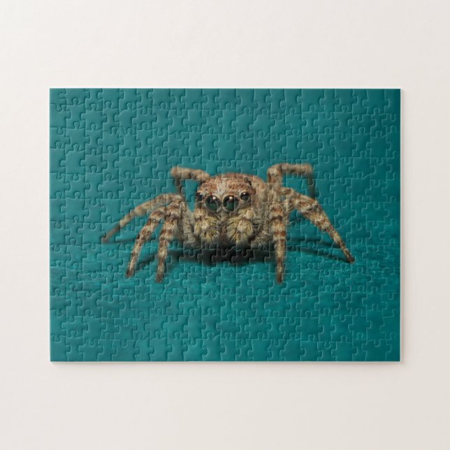 Adorable Jumping Spider Animal Photography Jigsaw Puzzle (Horizontal)