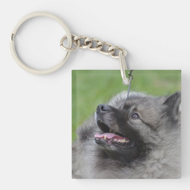 Adorable Keeshond Keychain (Front)