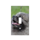 Adorable Keeshond Light Switch Cover