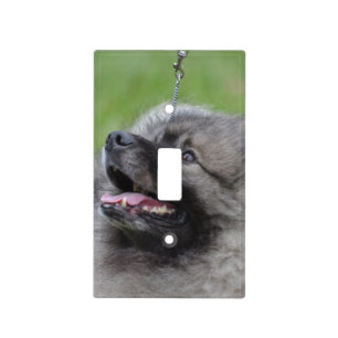Adorable Keeshond Light Switch Cover