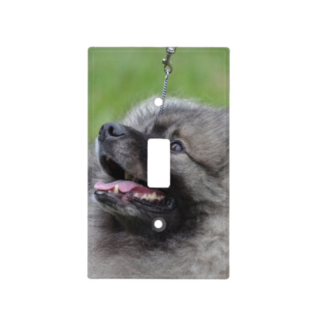 Adorable Keeshond Light Switch Cover (Front)