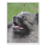 Adorable Keeshond Temporary Tattoos