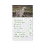 Adorable Kid Goat Business Card