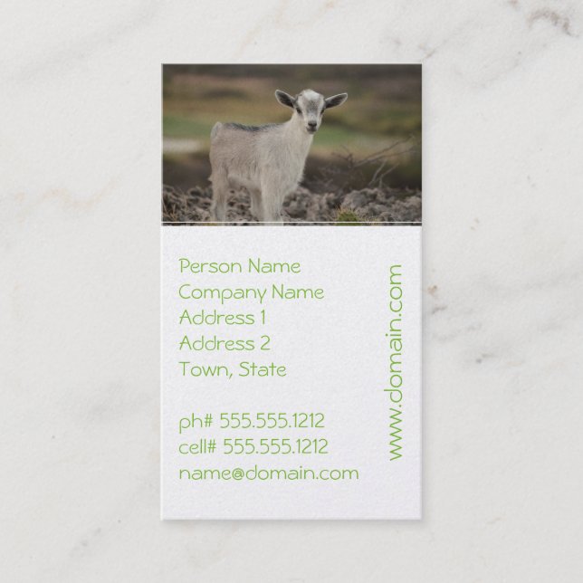 Adorable Kid Goat Business Card (Front)