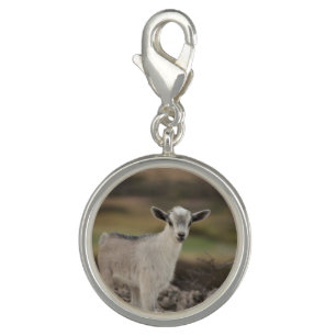 Adorable Kid Goat Charm