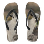 Adorable Kid Goat Flip Flops
