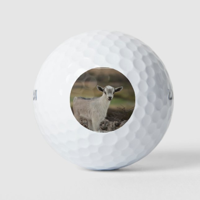 Adorable Kid Goat Golf Balls (Front)