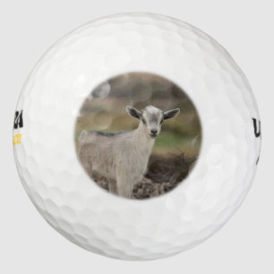 Adorable Kid Goat Golf Balls