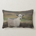 Adorable Kid Goat Lumbar Pillow