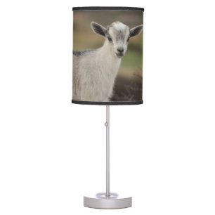 Adorable Kid Goat Table Lamp