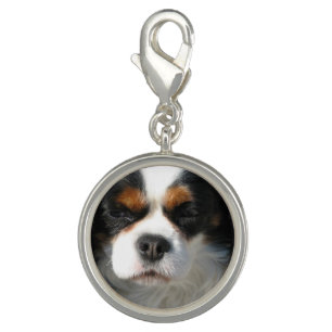 Adorable King Charles Spaniel Charm