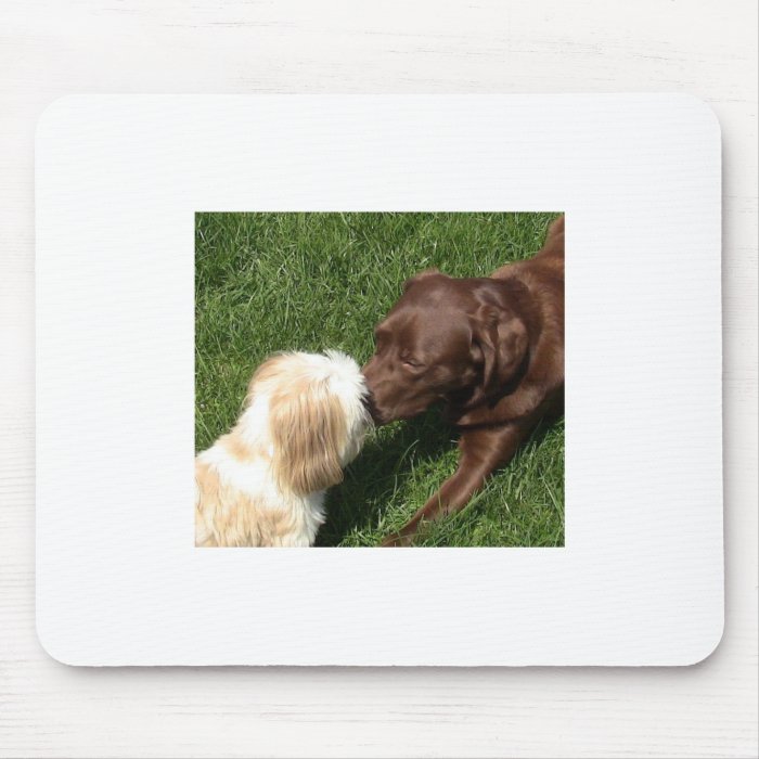 Adorable kissing Shihtzu and Chocolate Lab dogs Mousepad