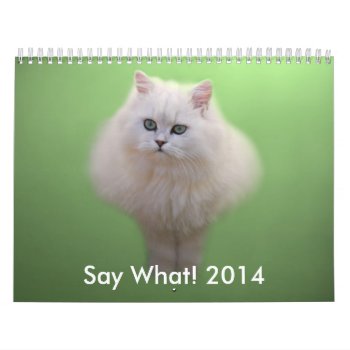Adorable Kitten Calendar by laureenr at Zazzle