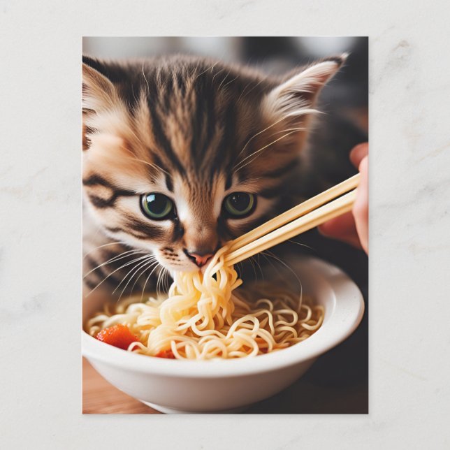 Adorable  Kitten Eating Ramen Noodles Postcard (Front)