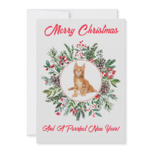 Adorable Kitten Flat Holiday Card