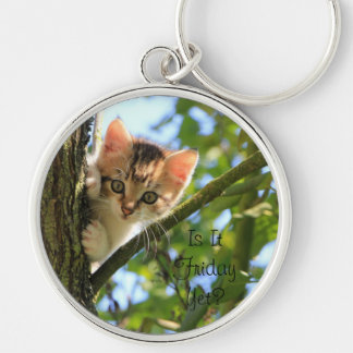 Adorable Kitten. Is it Friday Yet? Keychain
