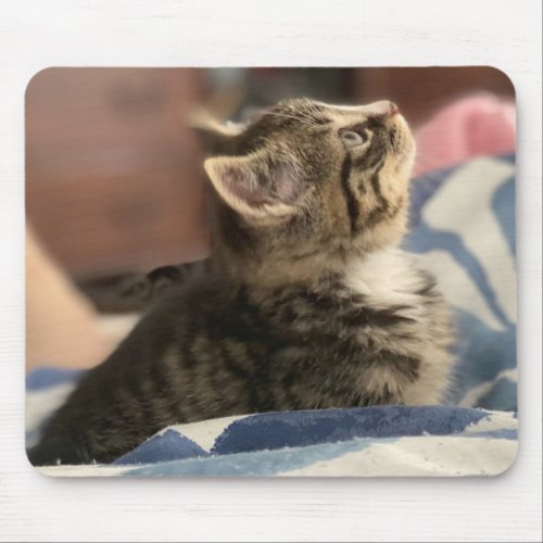 Adorable Kitten Photo or Upload your Own Pic Mouse Pad