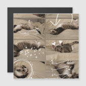 Adorable Kitten Postcard (Front/Back)