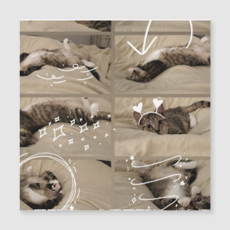 Adorable Kitten Postcard