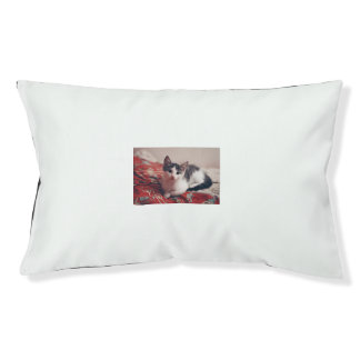 Adorable Kitten Relaxing on a Cozy Bed