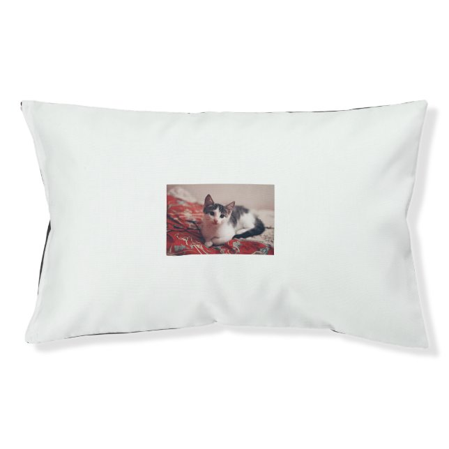 Adorable Kitten Relaxing on a Cozy Bed (Front)