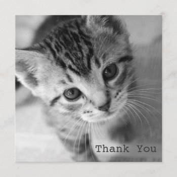 Adorable Kitten Square Flat Thank You Cards by AllyJCat at Zazzle