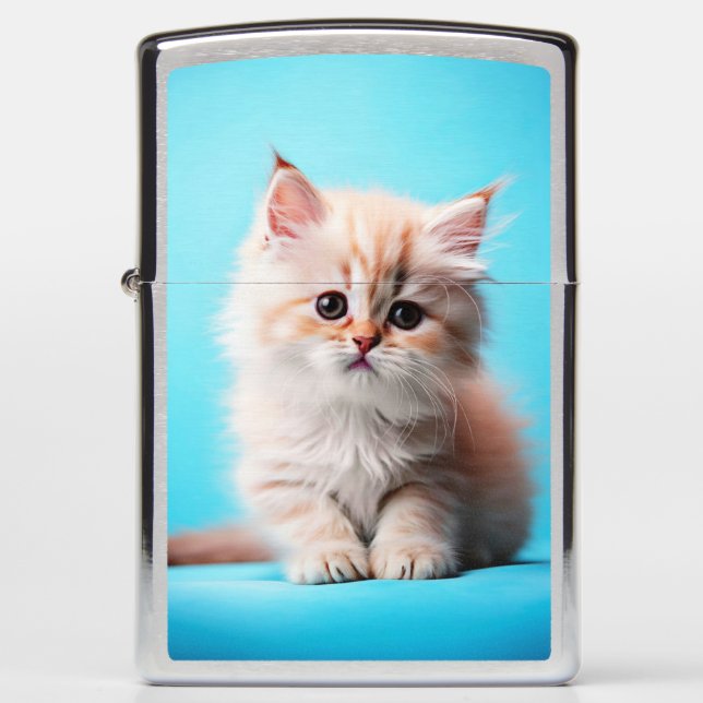Adorable Kitten with Simple Background Zippo Lighter (Front)