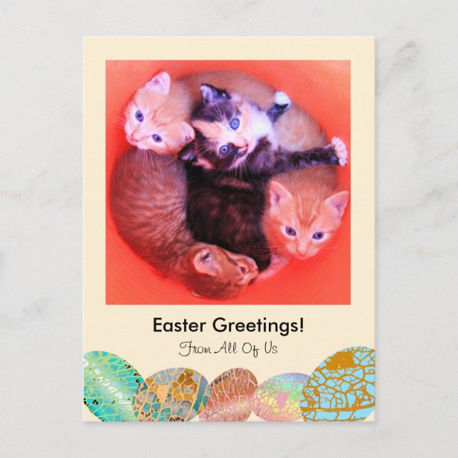 Adorable Kittens Cat Easter Greetings Custom Photo Holiday Postcard (Front)