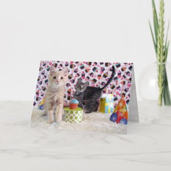 Adorable Kittens — Cat / Kitten Birthday Card