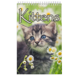 Adorable Kittens & Heartwarming Sayings Large Wall Calendar