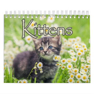 Adorable Kittens & Heartwarming Sayings Wall Calendar
