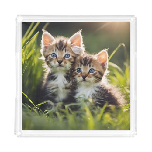 Adorable Kittens In The Grass Acrylic Tray